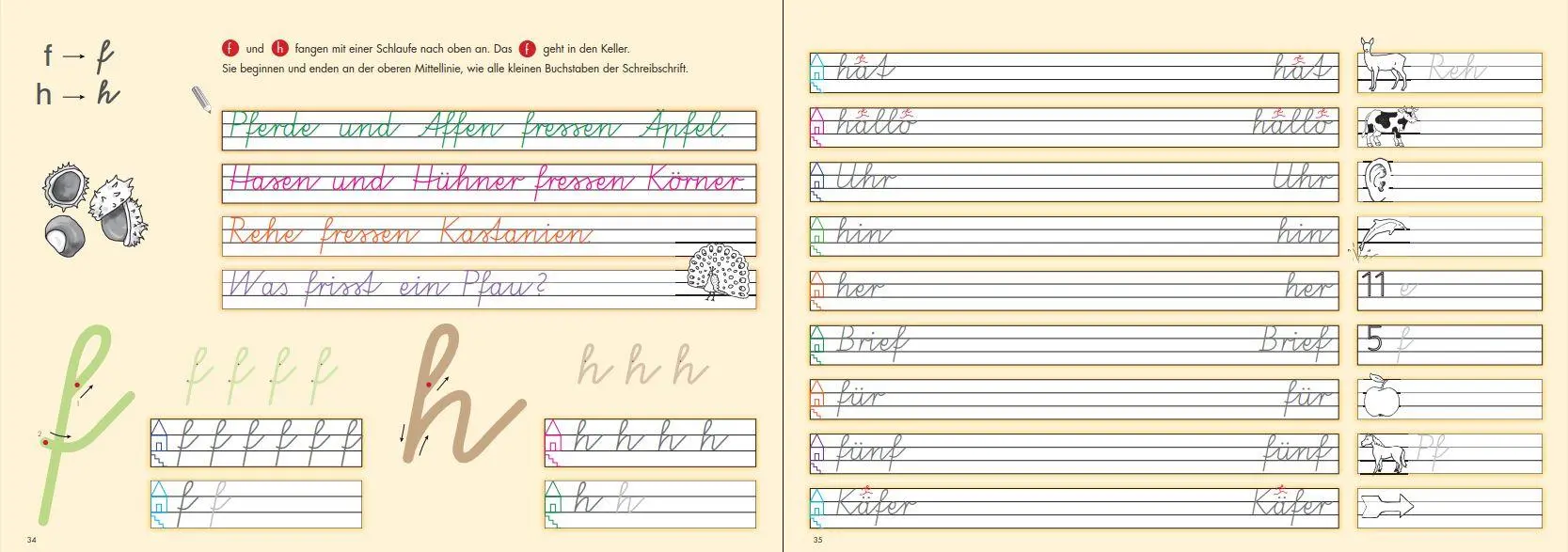 Bild: 9783867232166 | Schreiblehrgang. Vereinfachte Ausgangsschrift | Eva M. Eberle | 64 S.