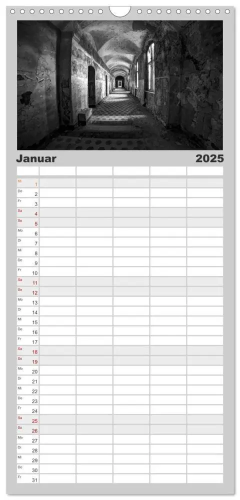 Bild: 9783457122266 | Familienplaner 2025 - Lost Beauty mit 5 Spalten (Wandkalender, 21 x...