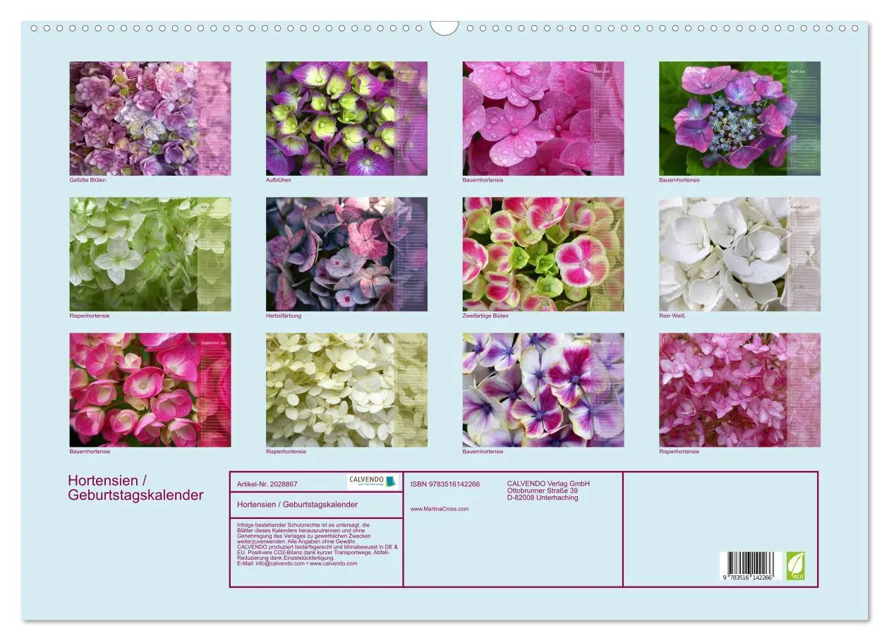 Bild: 9783516142266 | Hortensien / Geburtstagskalender (Wandkalender 2026 DIN A2 quer),...