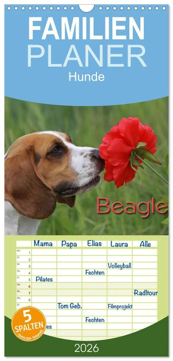 Cover: 9783516522266 | Familienplaner 2026 - Beagle mit 5 Spalten (Wandkalender, 21 x 45...