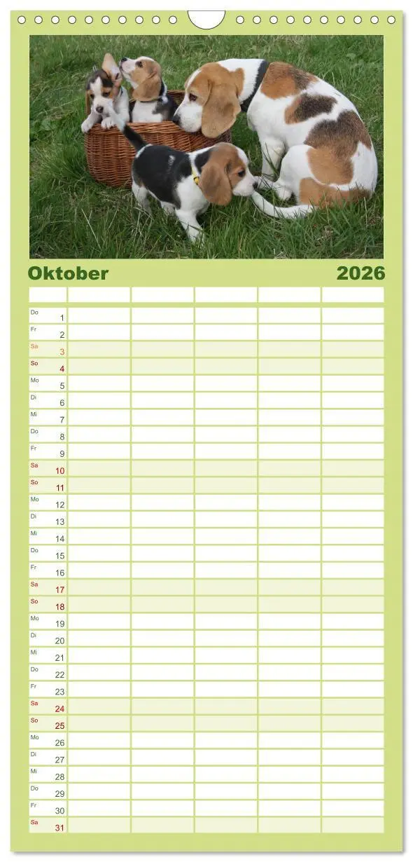 Bild: 9783516522266 | Familienplaner 2026 - Beagle mit 5 Spalten (Wandkalender, 21 x 45...