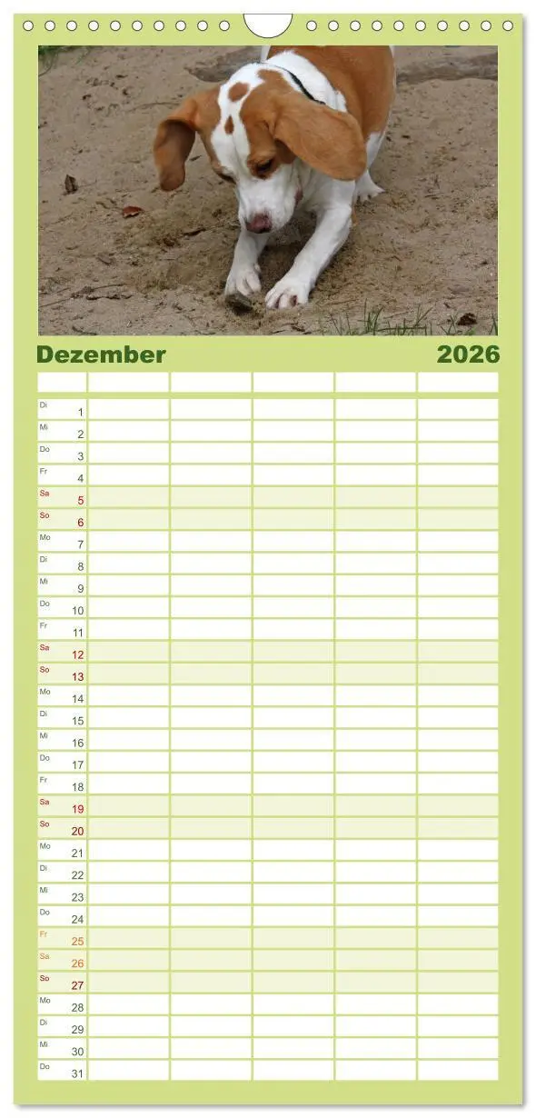 Bild: 9783516522266 | Familienplaner 2026 - Beagle mit 5 Spalten (Wandkalender, 21 x 45...