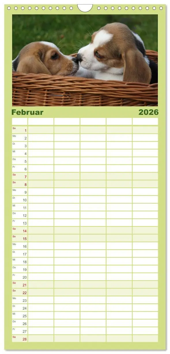 Bild: 9783516522266 | Familienplaner 2026 - Beagle mit 5 Spalten (Wandkalender, 21 x 45...