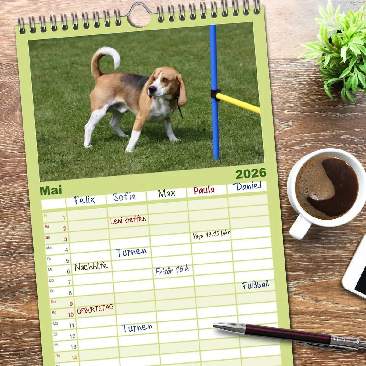 Bild: 9783516522266 | Familienplaner 2026 - Beagle mit 5 Spalten (Wandkalender, 21 x 45...