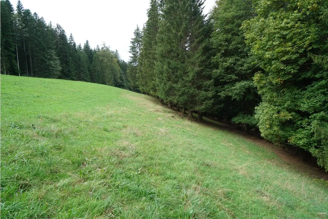 Bild: 9783039022366 | Schweizer Industriekultur | Wanderungen zwischen Arbon und Genf | Buch