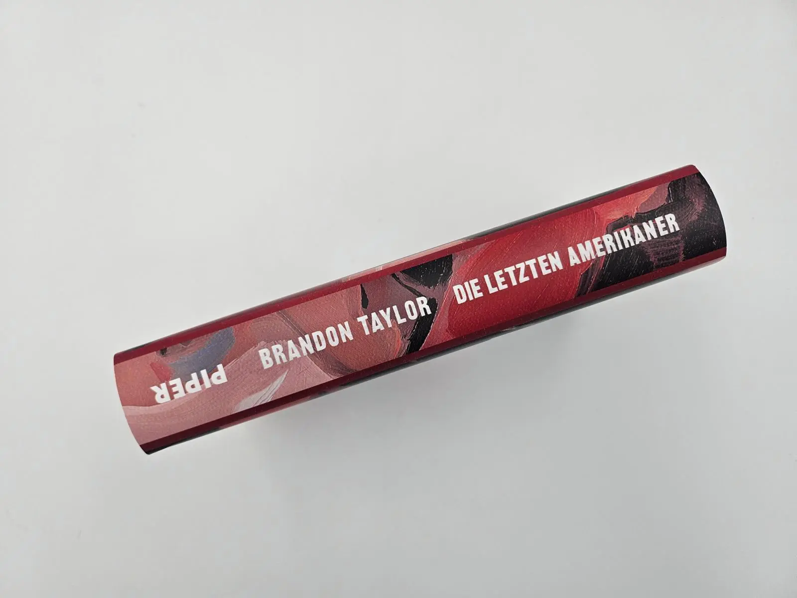 Bild: 9783492072366 | Die letzten Amerikaner | Brandon Taylor | Buch | 352 S. | Deutsch