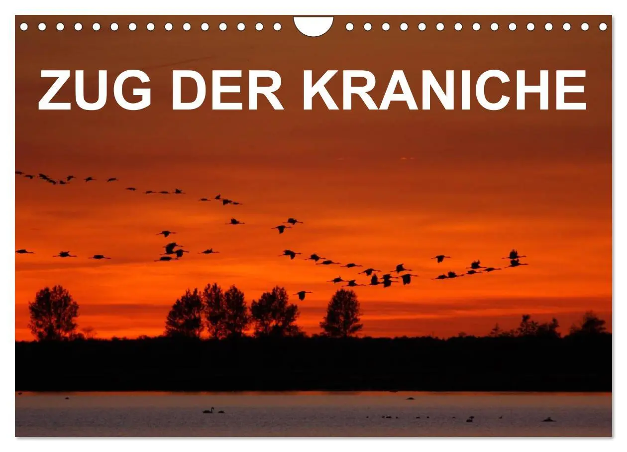 Cover: 9783516062366 | Zug der Kraniche (Wandkalender 2026 DIN A4 quer), CALVENDO...