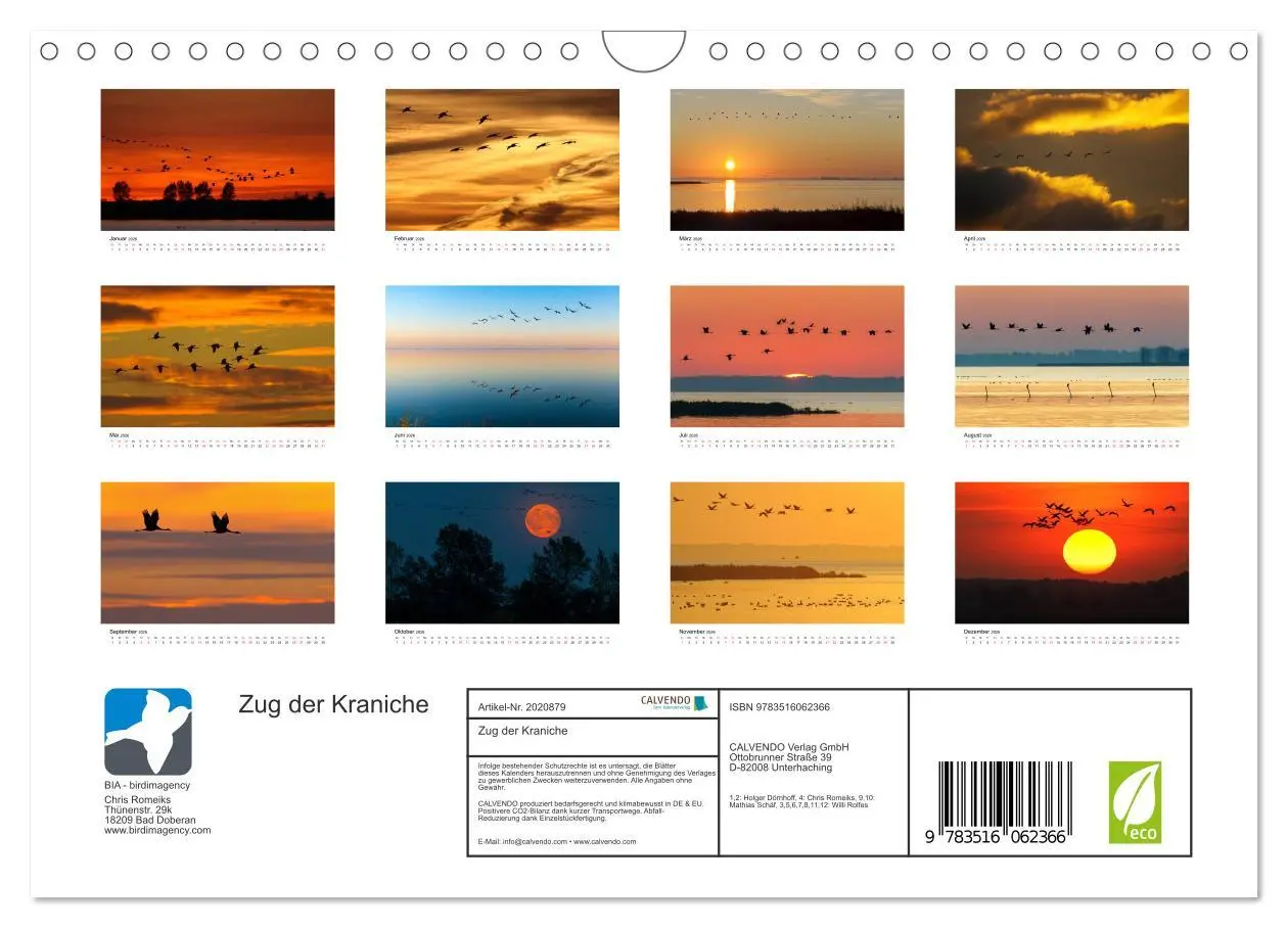 Bild: 9783516062366 | Zug der Kraniche (Wandkalender 2026 DIN A4 quer), CALVENDO...