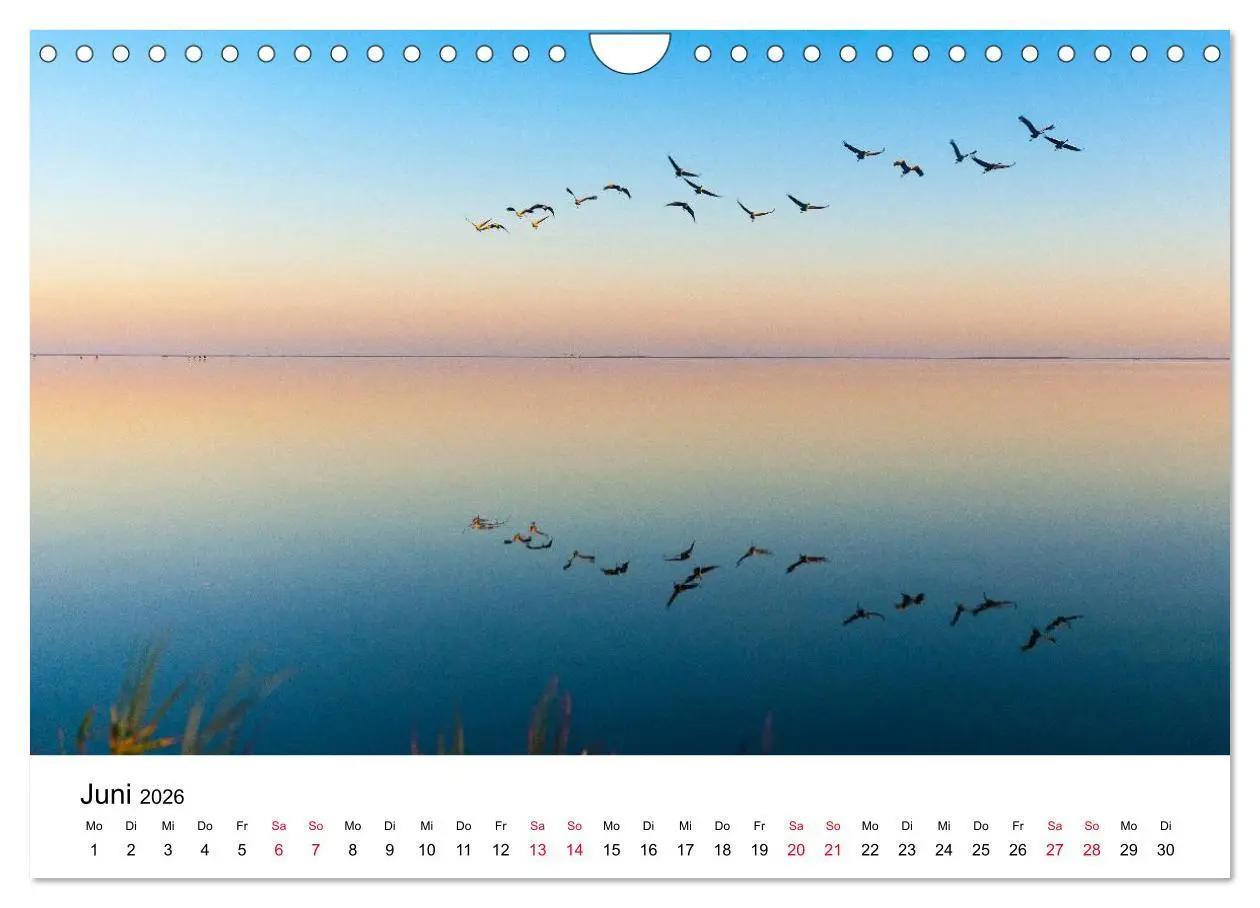 Bild: 9783516062366 | Zug der Kraniche (Wandkalender 2026 DIN A4 quer), CALVENDO...
