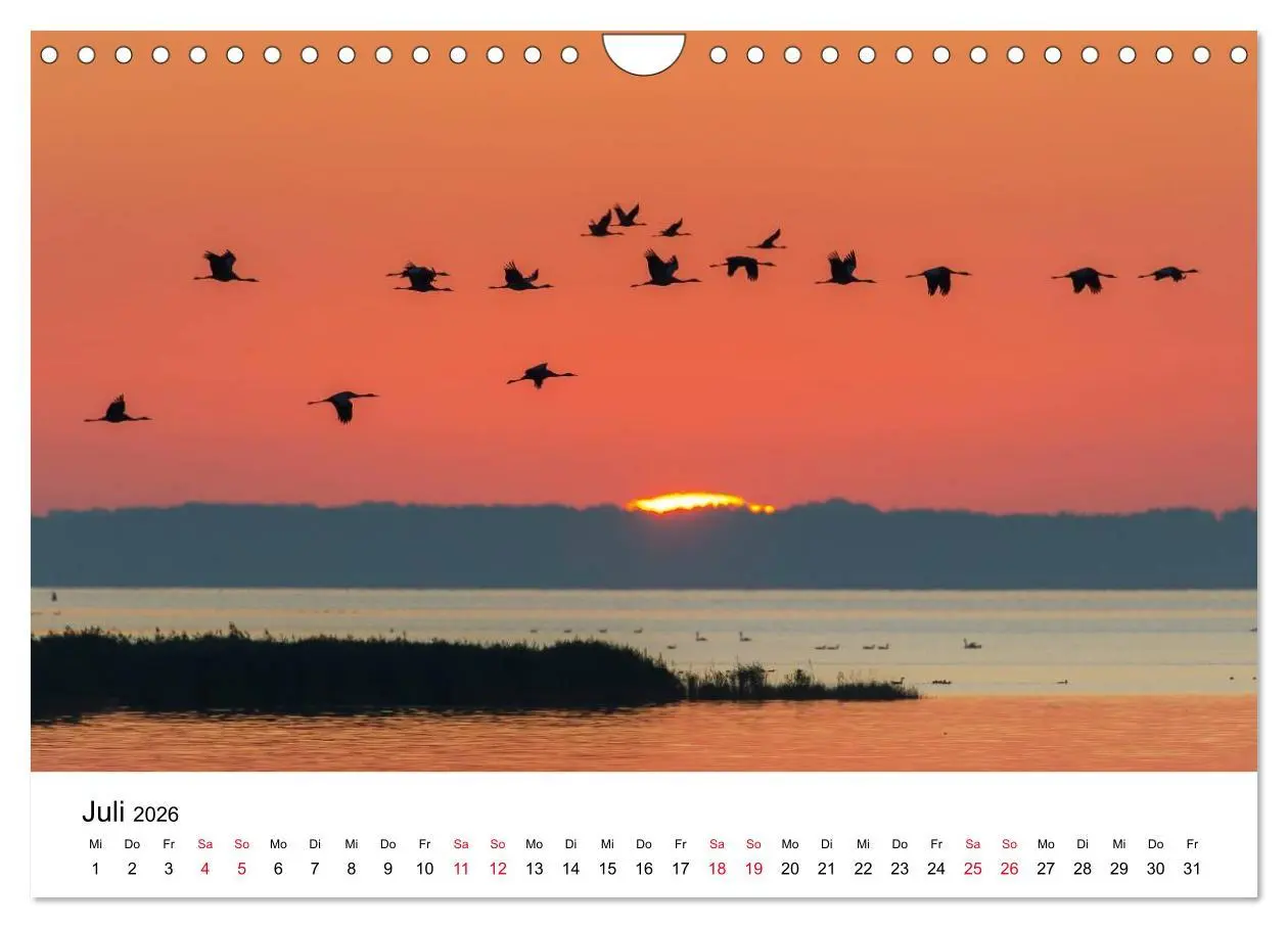 Bild: 9783516062366 | Zug der Kraniche (Wandkalender 2026 DIN A4 quer), CALVENDO...