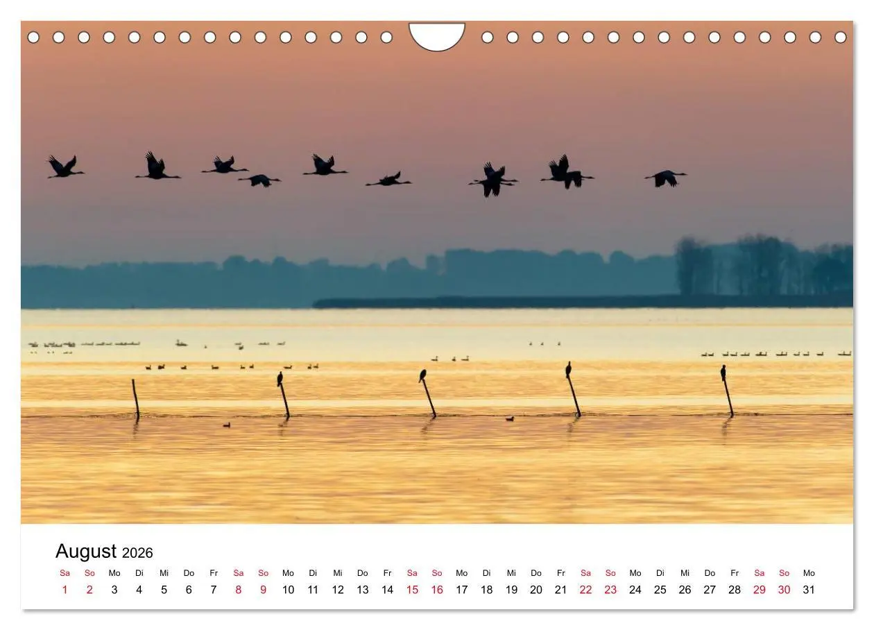 Bild: 9783516062366 | Zug der Kraniche (Wandkalender 2026 DIN A4 quer), CALVENDO...