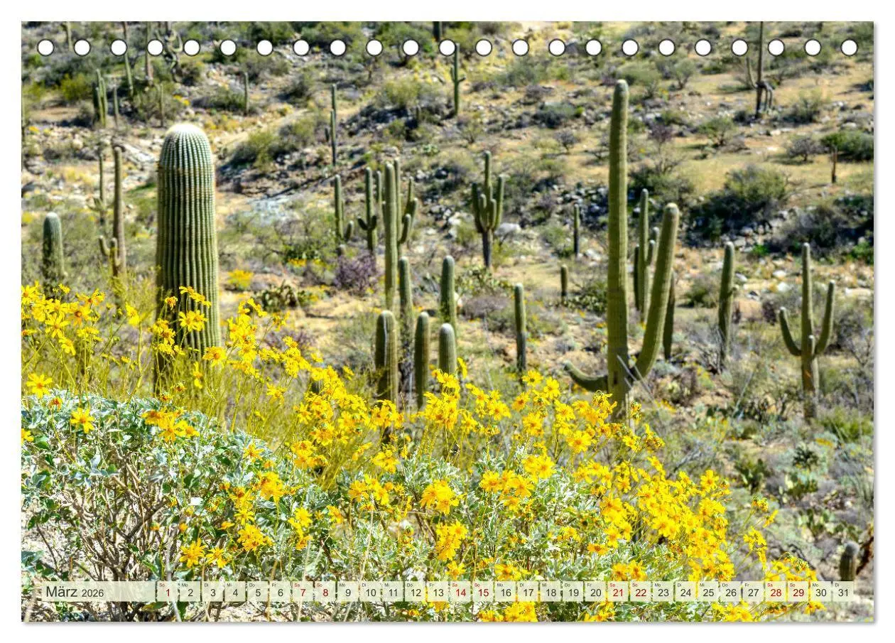 Bild: 9783457272466 | Unterwegs in ARIZONA (Tischkalender 2026 DIN A5 quer), CALVENDO...