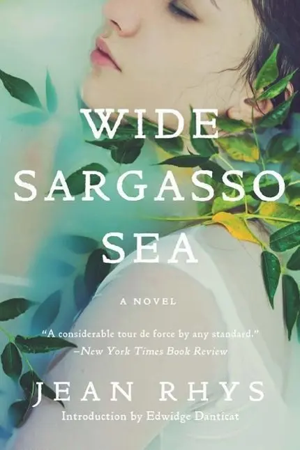 Cover: 9780393352566 | Wide Sargasso Sea | Jean Rhys | Taschenbuch | Kartoniert / Broschiert