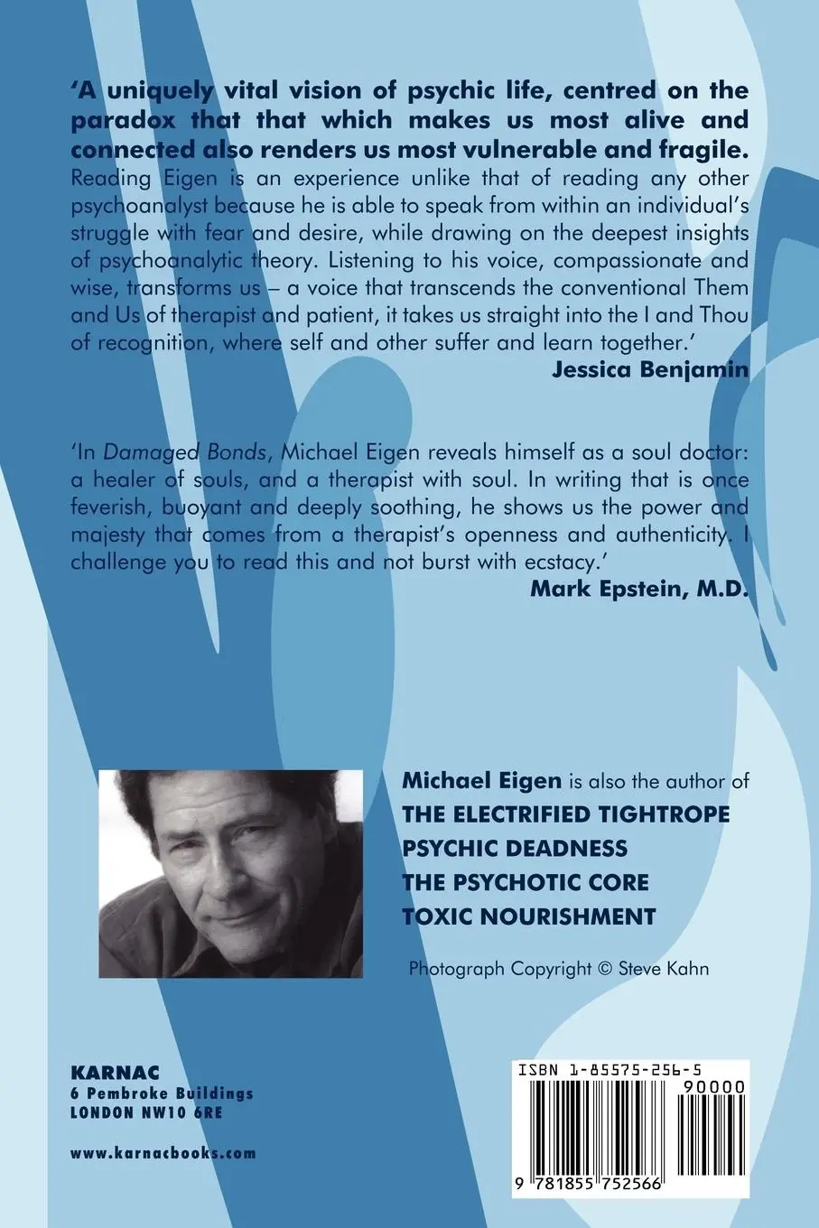 Rückseite: 9781855752566 | Damaged Bonds | Michael Eigen | Taschenbuch | Englisch | 2001