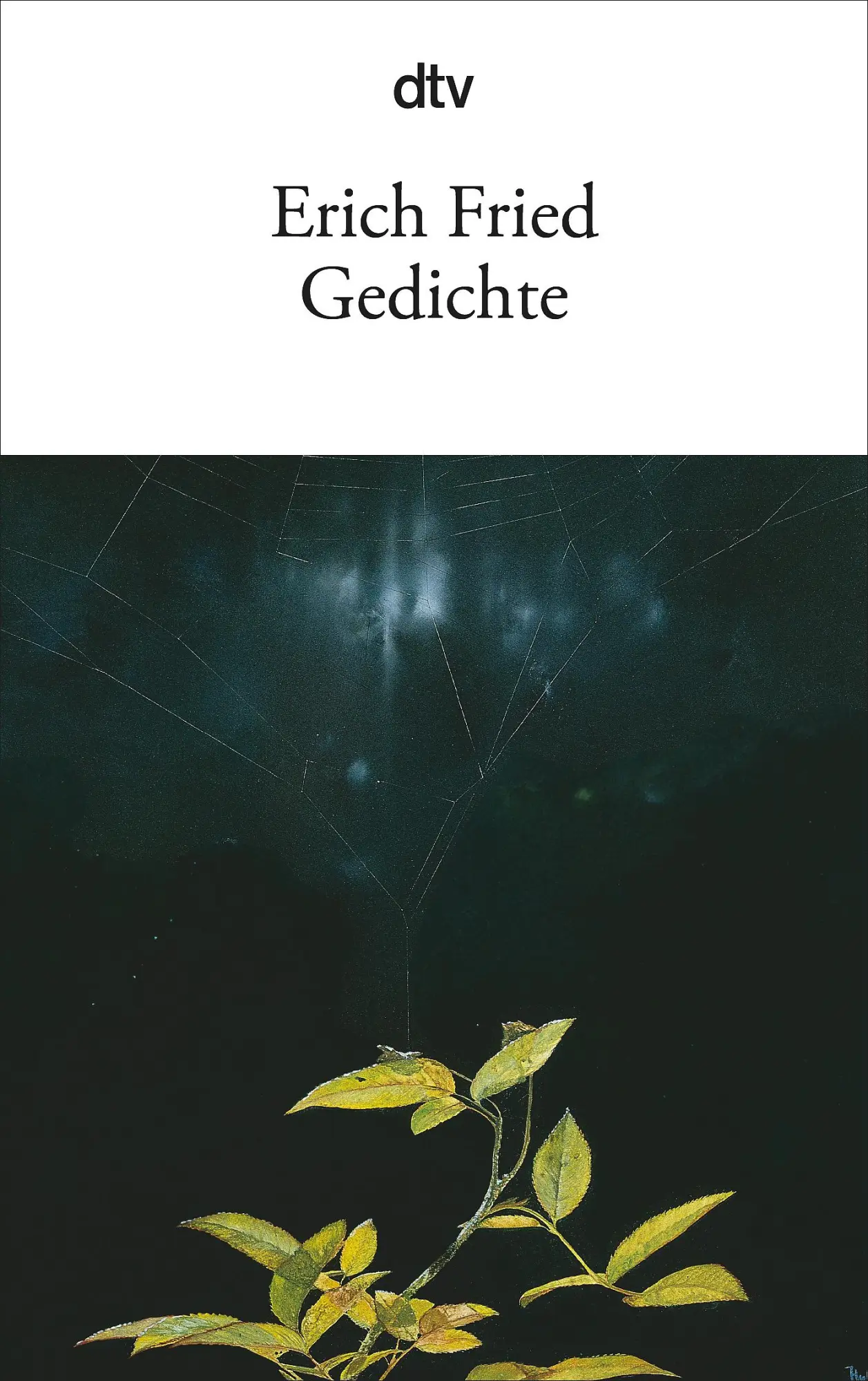 Cover: 9783423122566 | Gedichte | Erich Fried | Taschenbuch | 144 S. | Deutsch | 1997