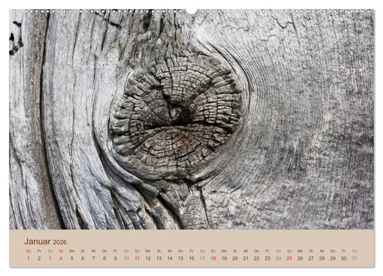 Bild: 9783457952566 | Farben des Holzes (hochwertiger Premium Wandkalender 2026 DIN A2...