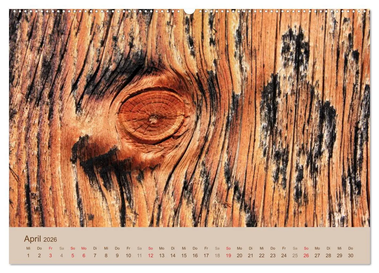 Bild: 9783457952566 | Farben des Holzes (hochwertiger Premium Wandkalender 2026 DIN A2...