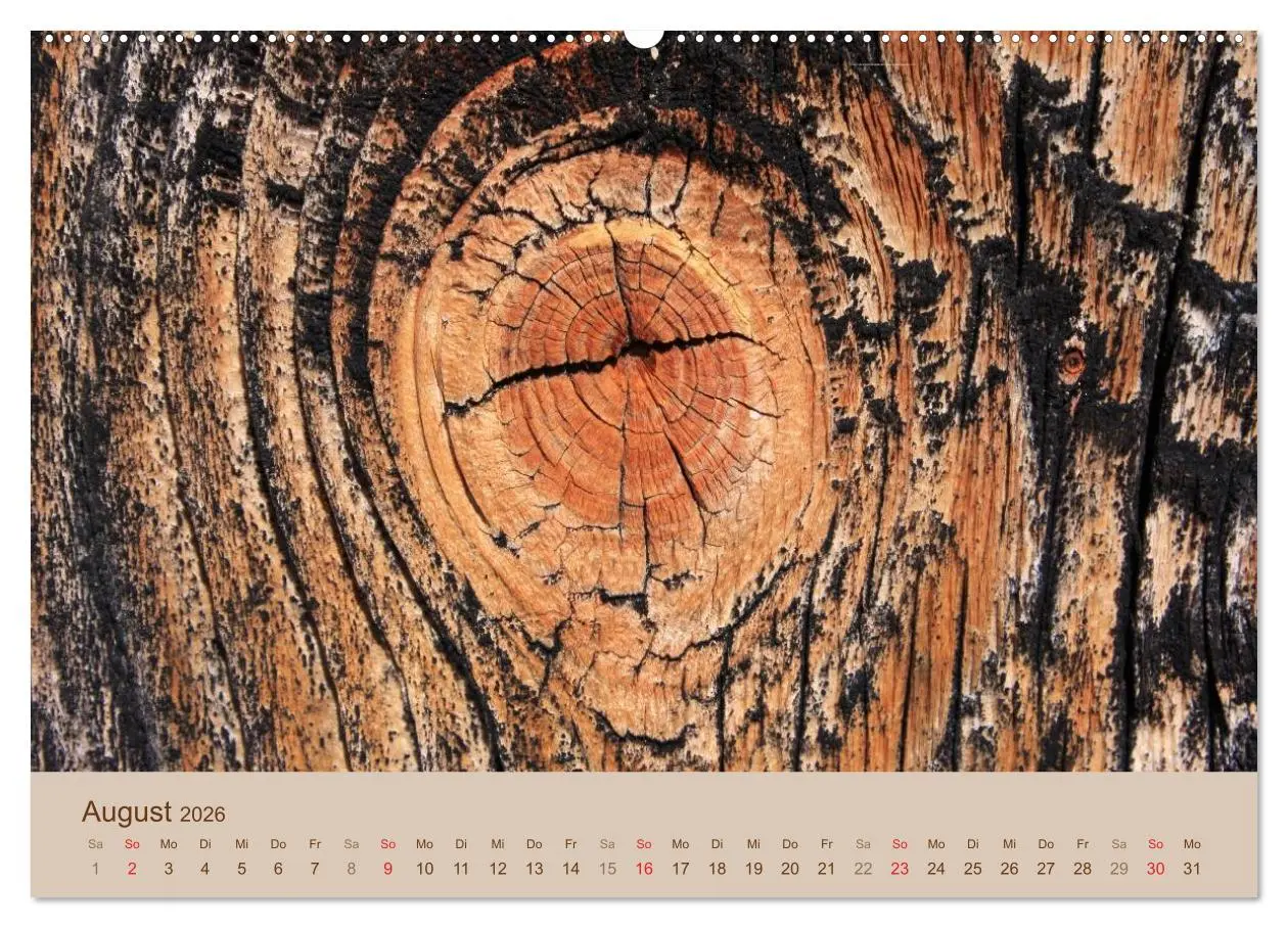 Bild: 9783457952566 | Farben des Holzes (hochwertiger Premium Wandkalender 2026 DIN A2...