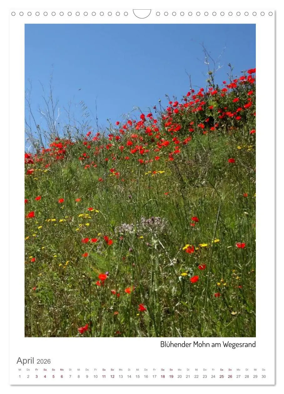 Bild: 9783516352566 | Buen Camino - Unterwegs auf dem Jakobsweg (Wandkalender 2026 DIN A3...