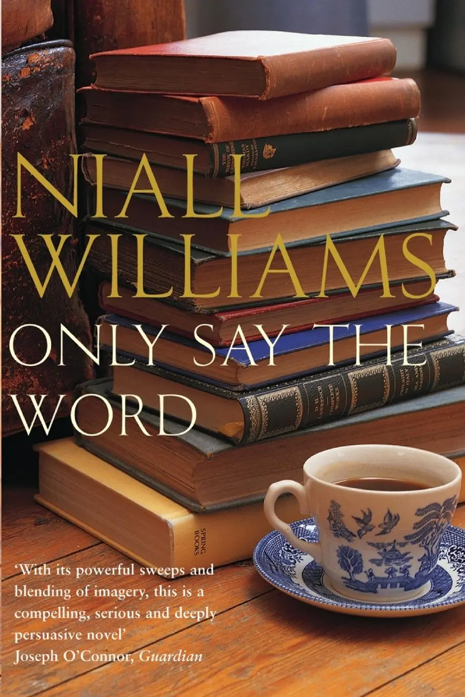 Cover: 9781447242666 | Only Say the Word | Niall Williams | Taschenbuch | Englisch | 2013