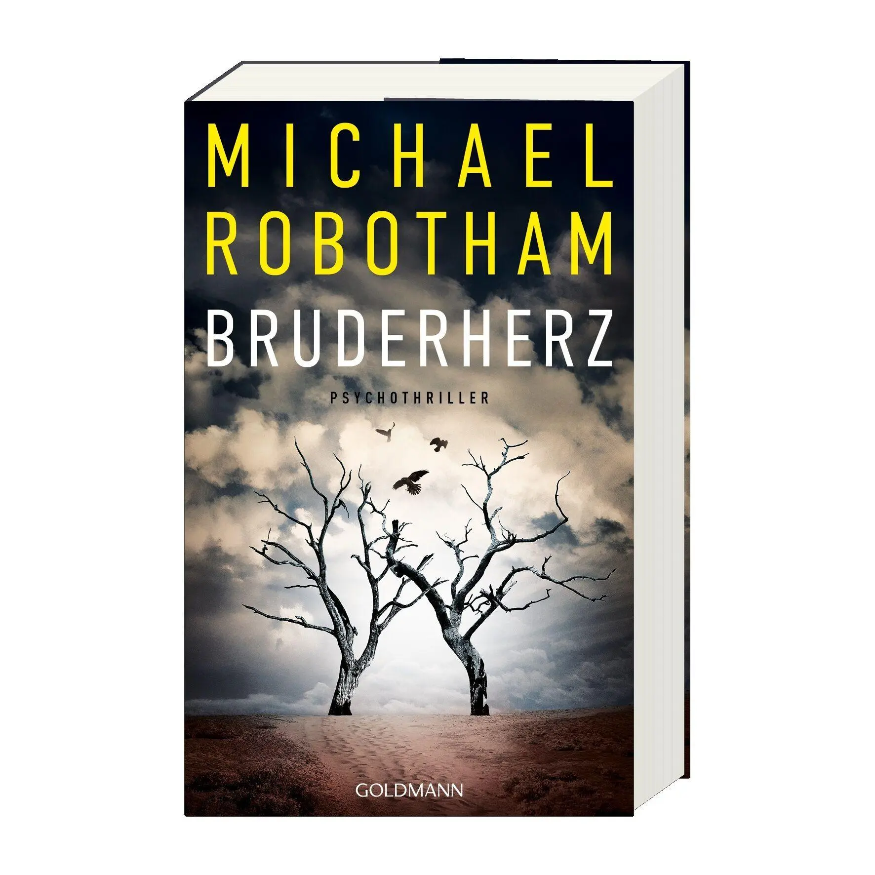 Bild: 9783442302666 | Bruderherz | Michael Robotham | Taschenbuch | 528 S. | Deutsch | 2026