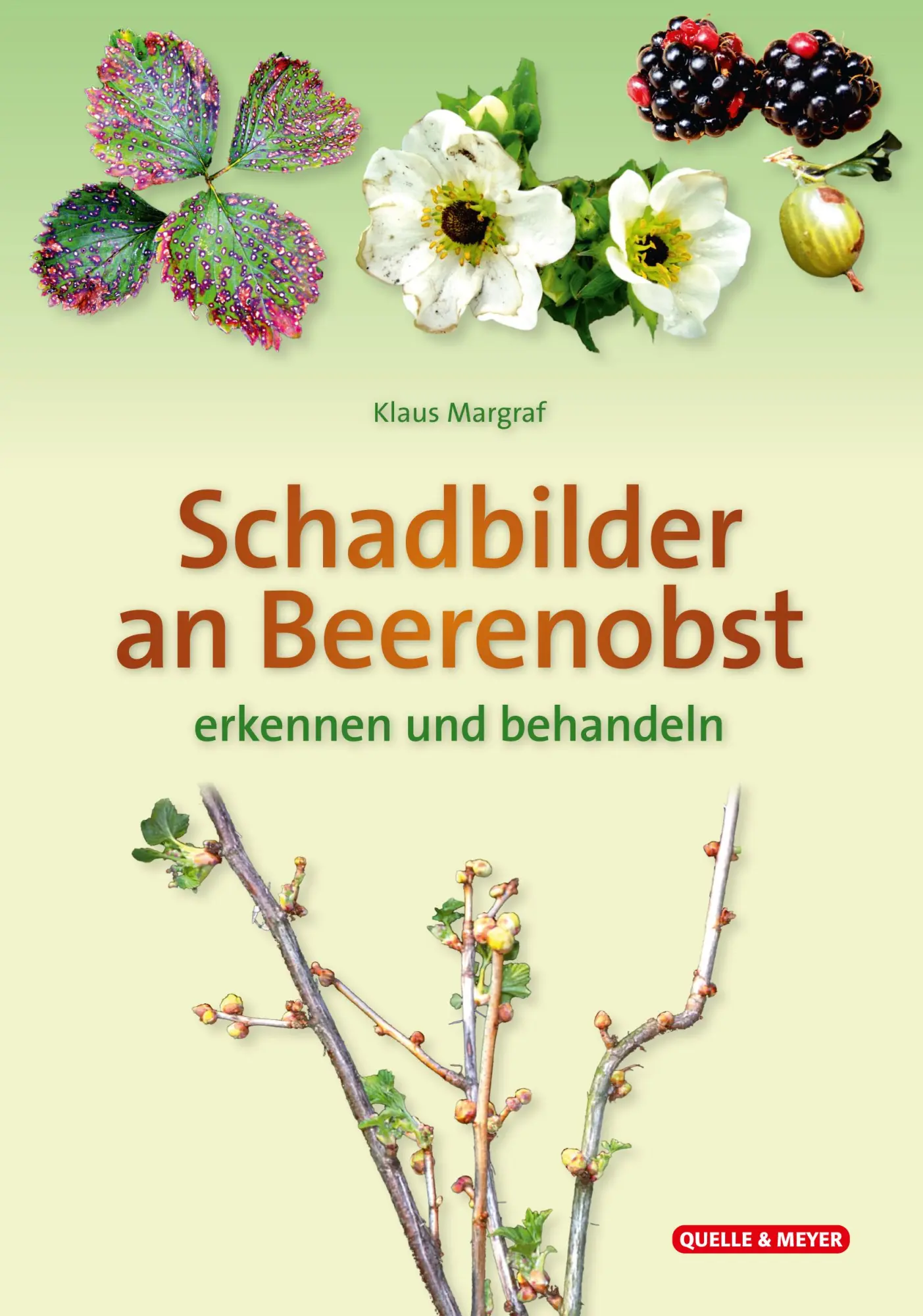 Cover: 9783494022666 | Schadbilder an Beerenobst | erkennen und behandeln | Klaus Margraf