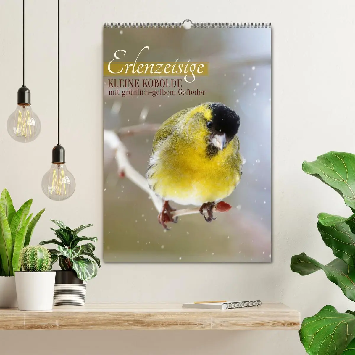 Bild: 9783516272666 | Erlenzeisige, kleine Kobolde (Wandkalender 2026 DIN A2 hoch),...