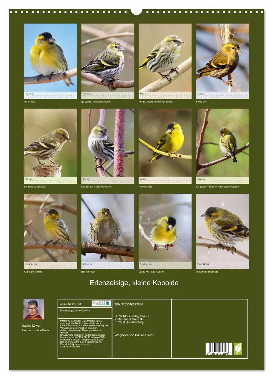 Bild: 9783516272666 | Erlenzeisige, kleine Kobolde (Wandkalender 2026 DIN A2 hoch),...