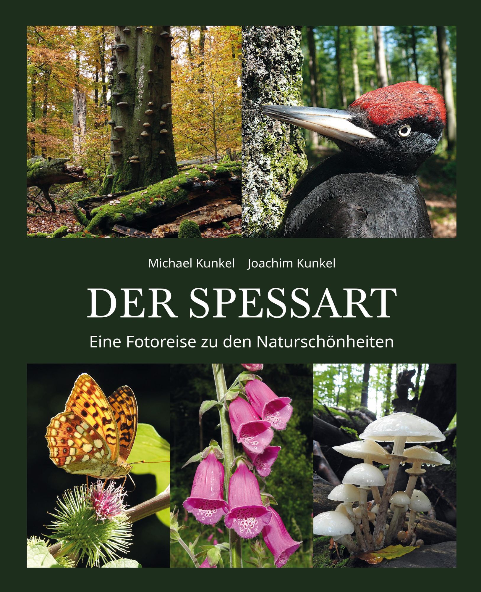 Bild: 9783958282766 | DER SPESSART | Eine Fotoreise zu den Naturschönheiten | Joachim Kunkel