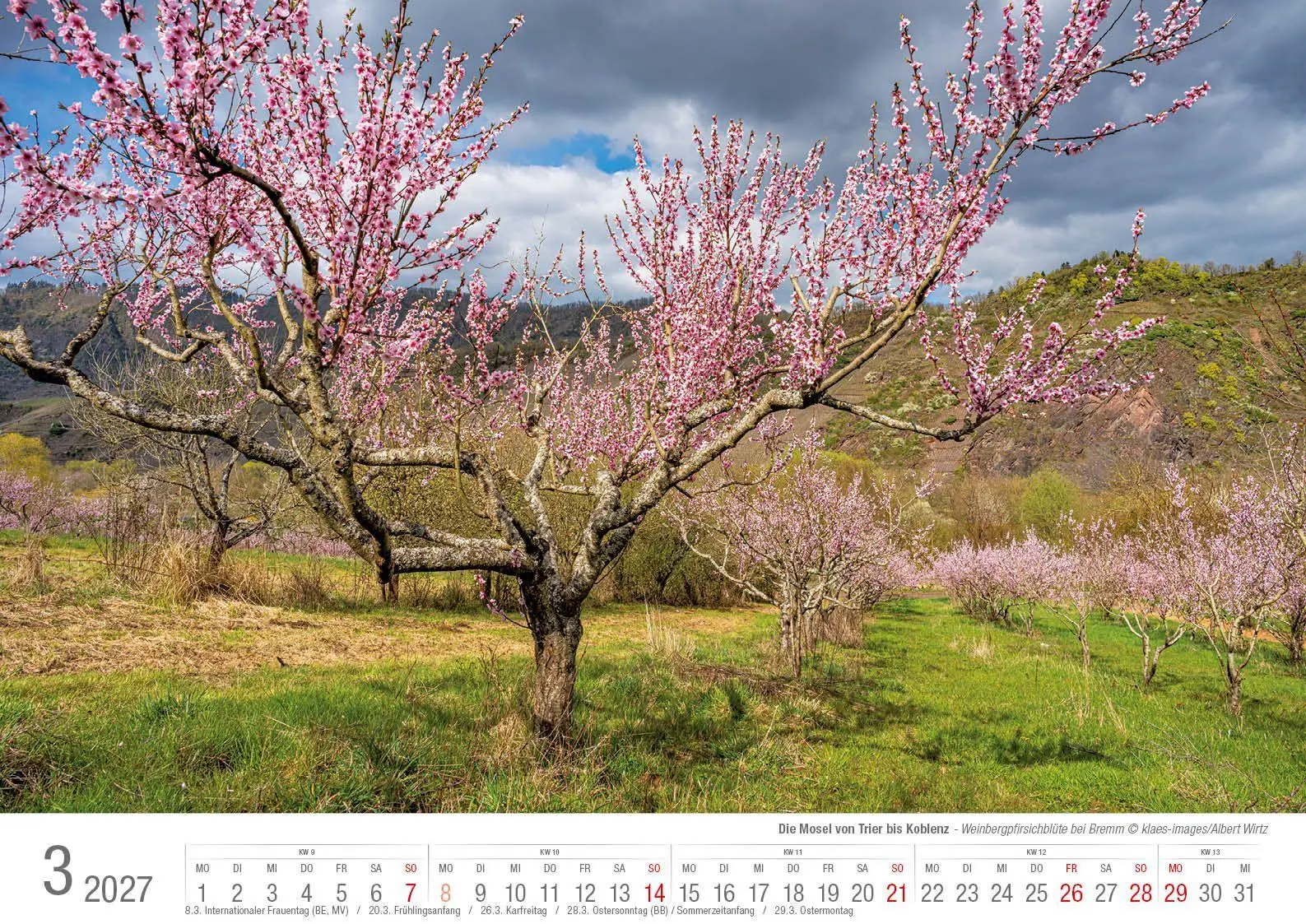 Bild: 9783965352766 | Die Mosel von Trier bis Koblenz 2026 Bildkalender A3 Spiralbindung