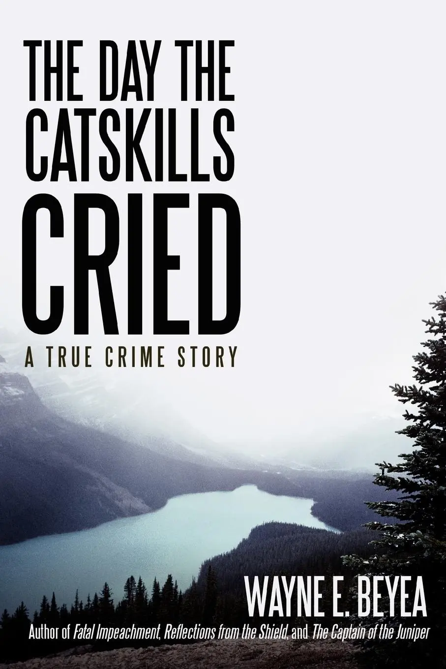 Cover: 9780595522866 | The Day the Catskills Cried | A True Crime Story | Wayne E. Beyea