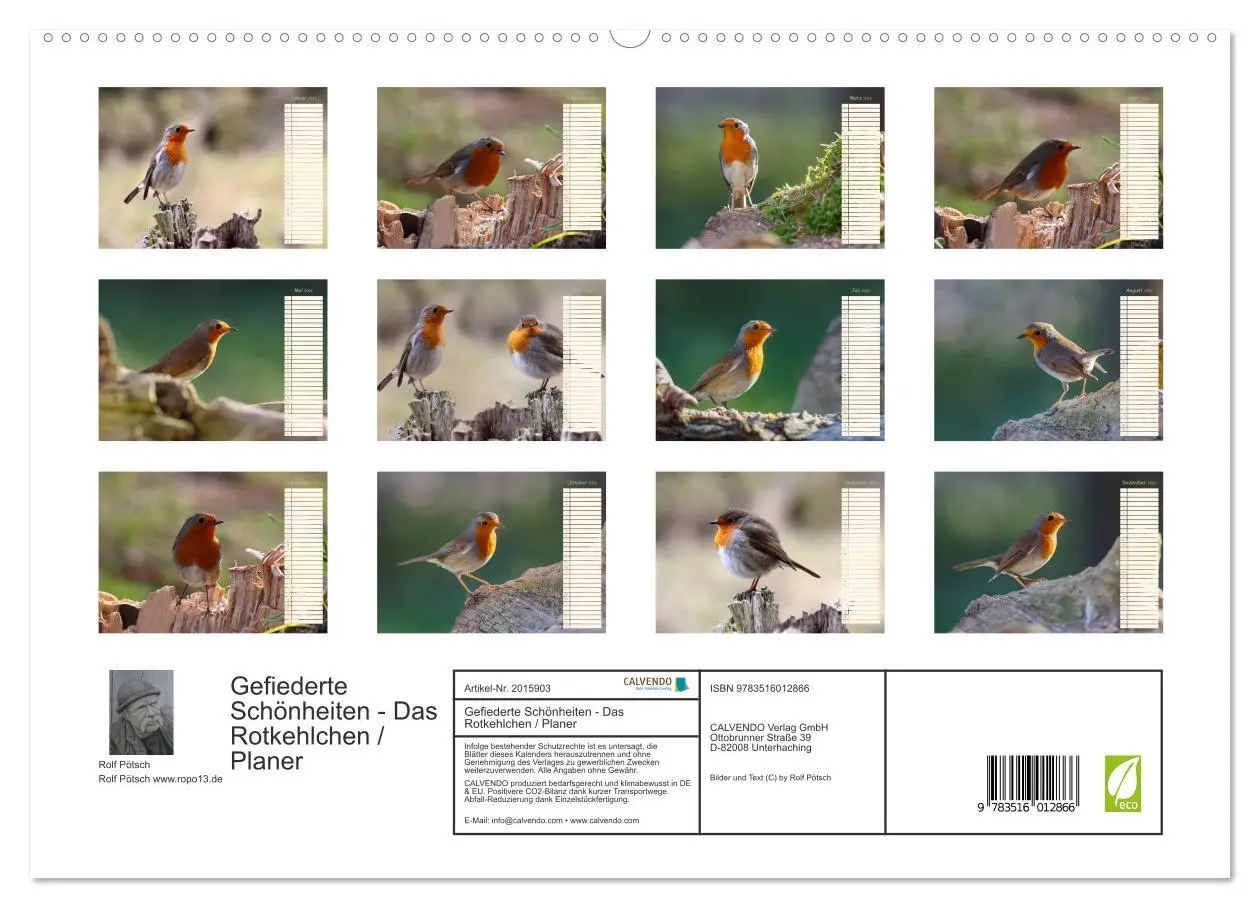 Bild: 9783516012866 | Gefiederte Schönheiten - Das Rotkehlchen / Planer (hochwertiger...
