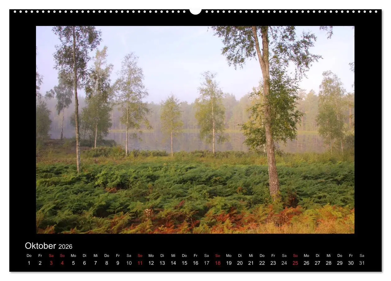 Bild: 9783516182866 | Schweden 2026 (Wandkalender 2026 DIN A2 quer), CALVENDO Monatskalender