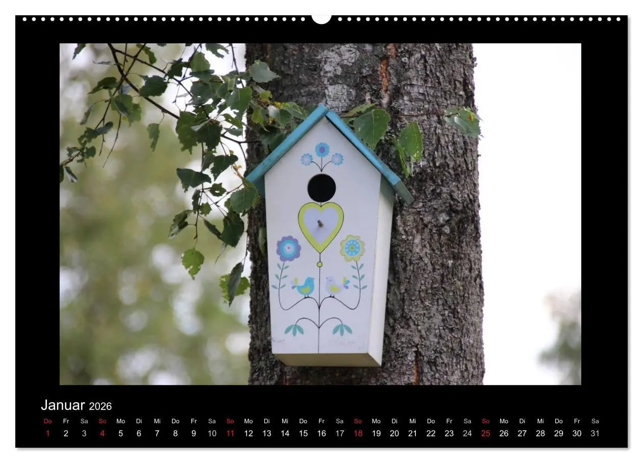 Bild: 9783516182866 | Schweden 2026 (Wandkalender 2026 DIN A2 quer), CALVENDO Monatskalender