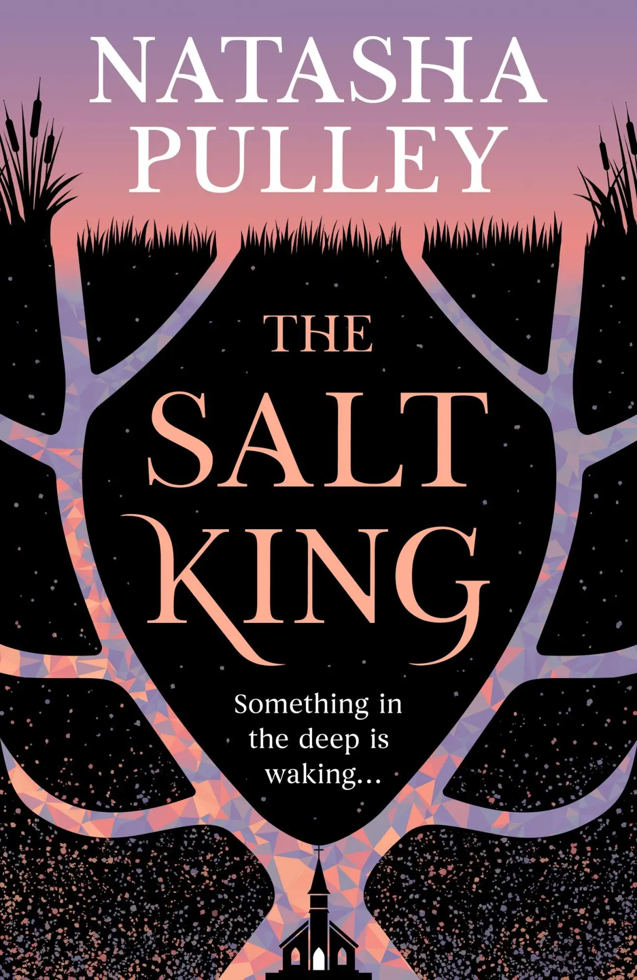 Cover: 9781399632966 | The Salt King | Natasha Pulley | Buch | Englisch | 2026