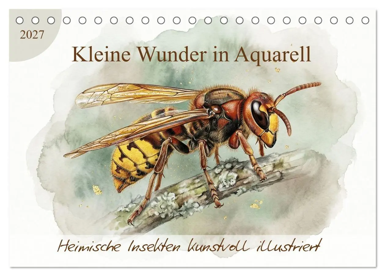 Cover: 9783516792966 | Kleine Wunder in Aquarell - Heimische Insekten kunstvoll...