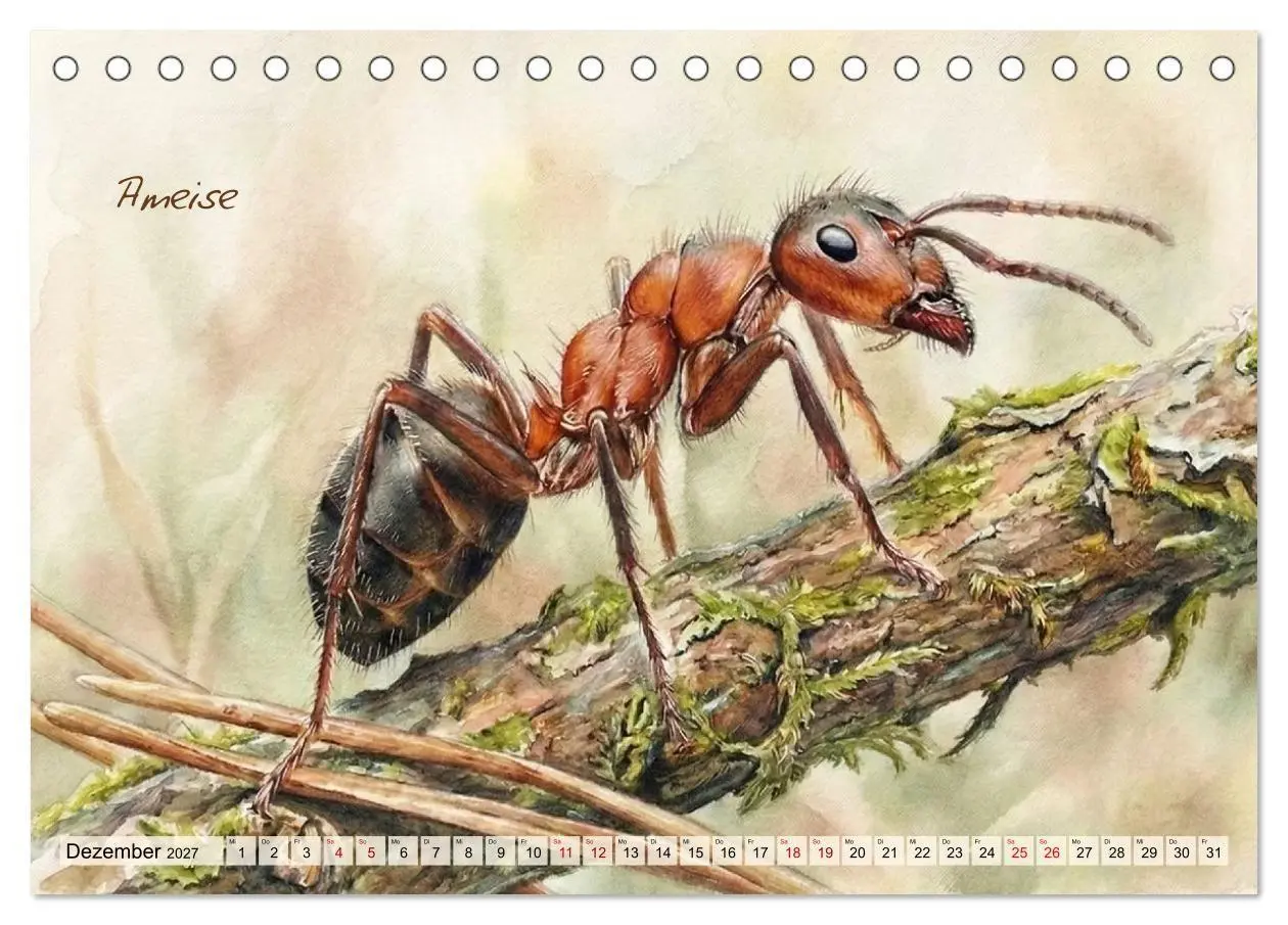 Bild: 9783516792966 | Kleine Wunder in Aquarell - Heimische Insekten kunstvoll...