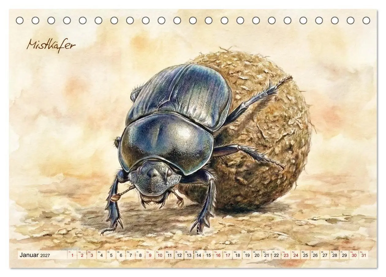 Bild: 9783516792966 | Kleine Wunder in Aquarell - Heimische Insekten kunstvoll...