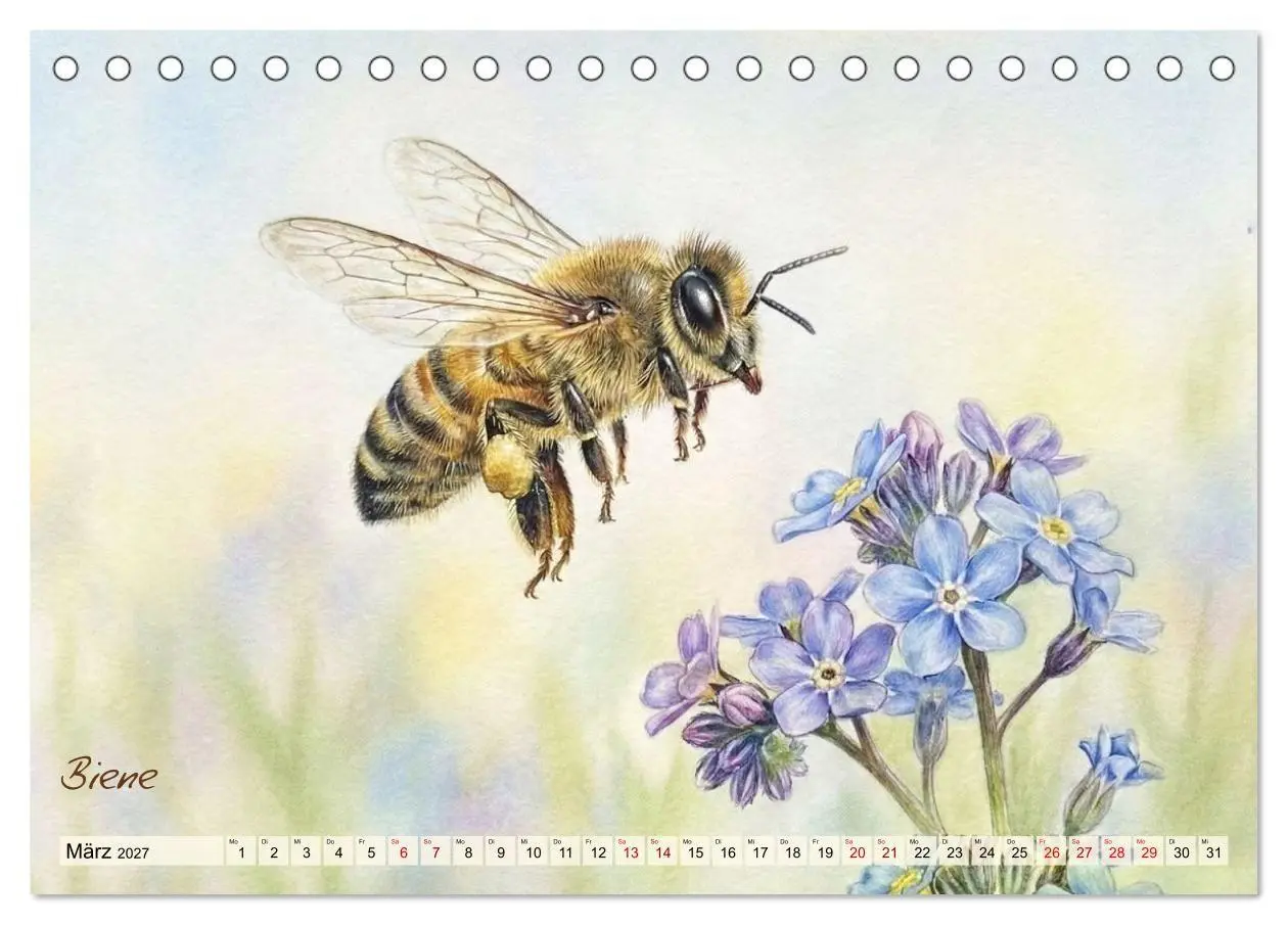 Bild: 9783516792966 | Kleine Wunder in Aquarell - Heimische Insekten kunstvoll...