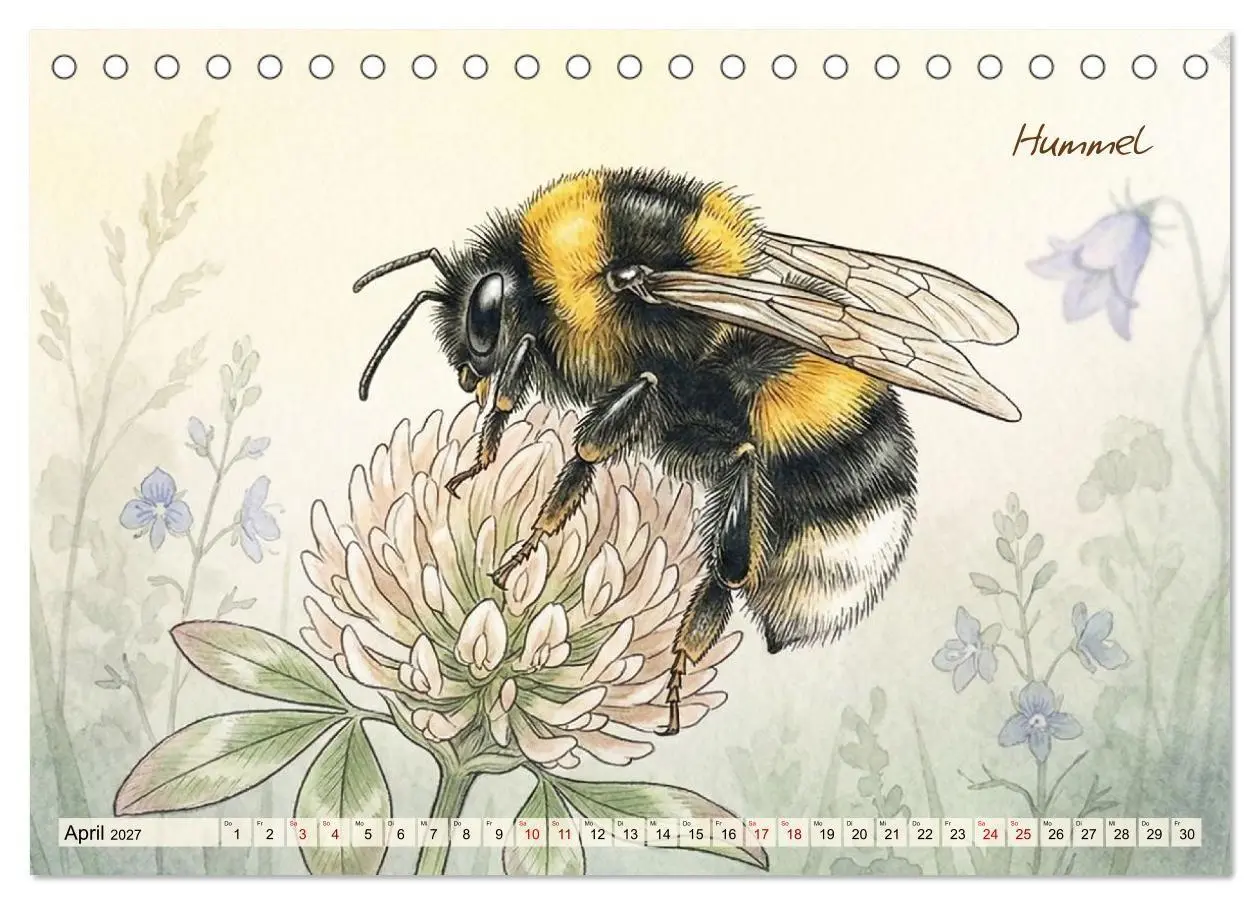 Bild: 9783516792966 | Kleine Wunder in Aquarell - Heimische Insekten kunstvoll...