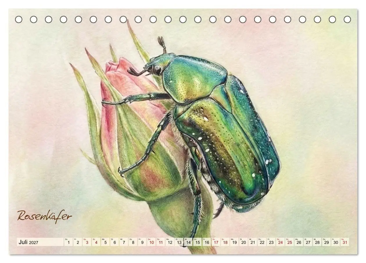 Bild: 9783516792966 | Kleine Wunder in Aquarell - Heimische Insekten kunstvoll...