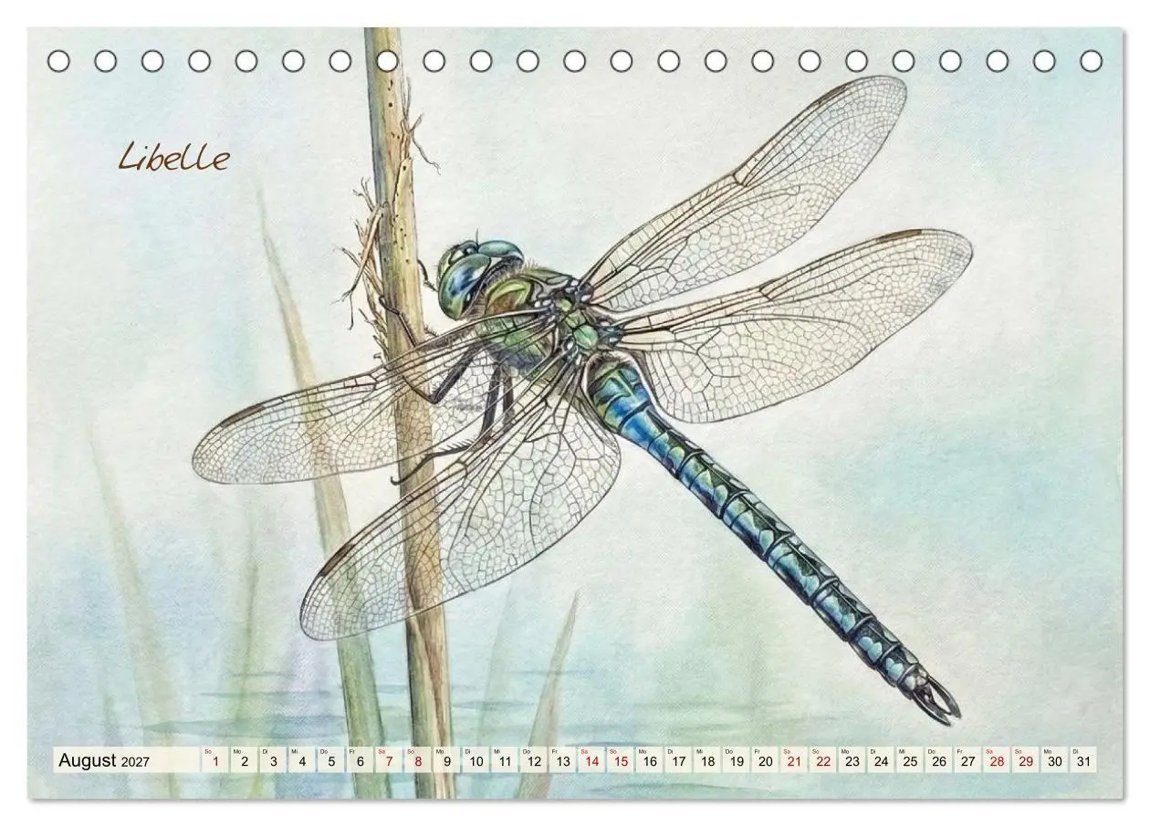 Bild: 9783516792966 | Kleine Wunder in Aquarell - Heimische Insekten kunstvoll...