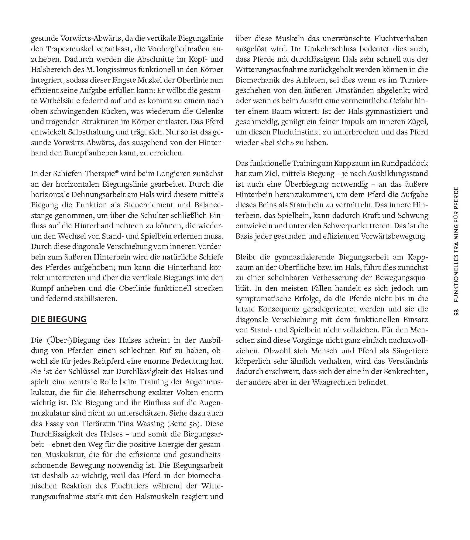 Bild: 9783275023066 | Die Kraft der Diagonalen | Gabriele Rachen-Schöneich (u. a.) | Buch