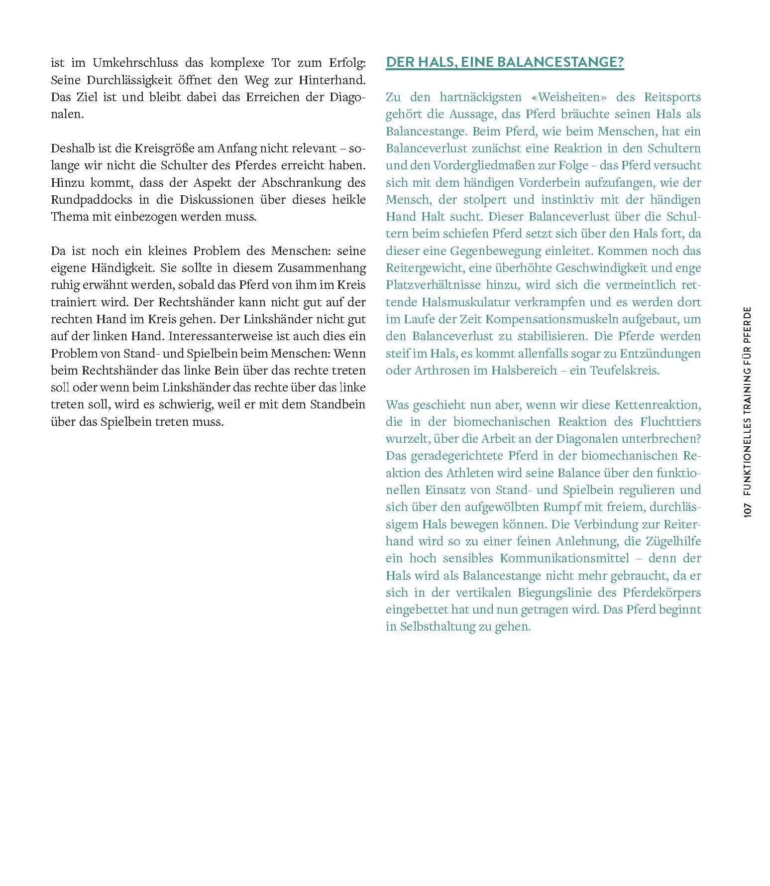 Bild: 9783275023066 | Die Kraft der Diagonalen | Gabriele Rachen-Schöneich (u. a.) | Buch