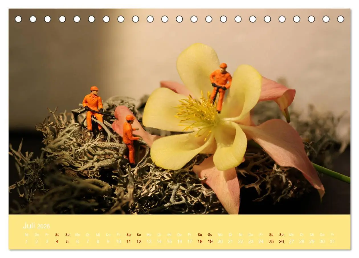 Bild: 9783457733066 | Miniaturen - Klein ganz groß (Tischkalender 2026 DIN A5 quer),...