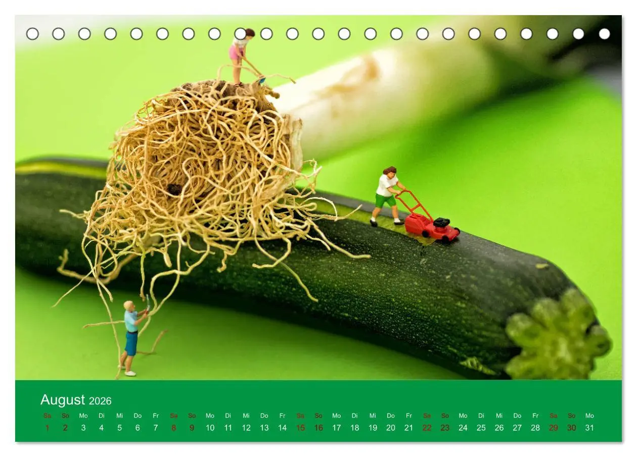 Bild: 9783457733066 | Miniaturen - Klein ganz groß (Tischkalender 2026 DIN A5 quer),...