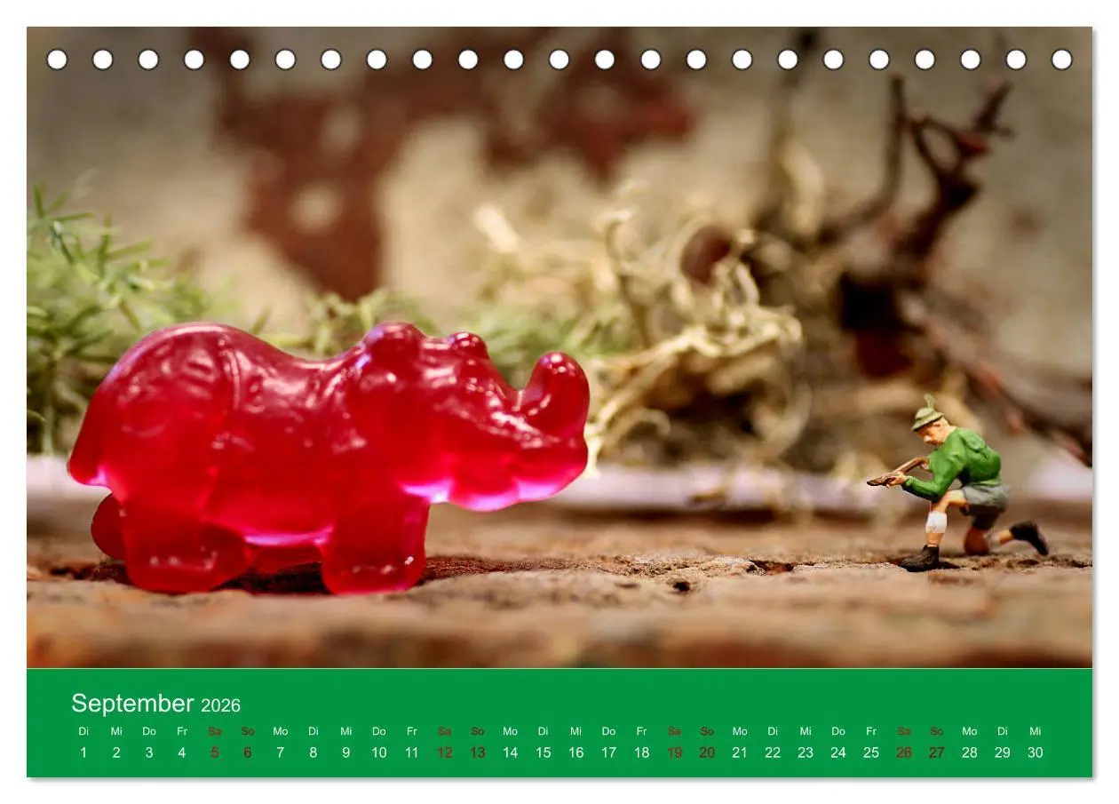 Bild: 9783457733066 | Miniaturen - Klein ganz groß (Tischkalender 2026 DIN A5 quer),...