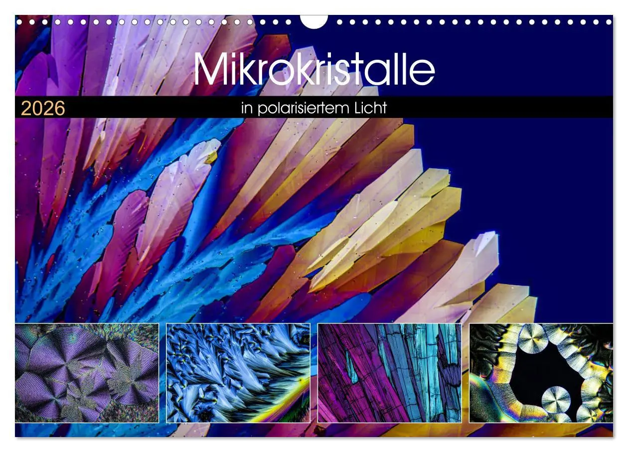 Cover: 9783516063066 | Mikrokristalle in polarisiertem Licht (Wandkalender 2026 DIN A3...