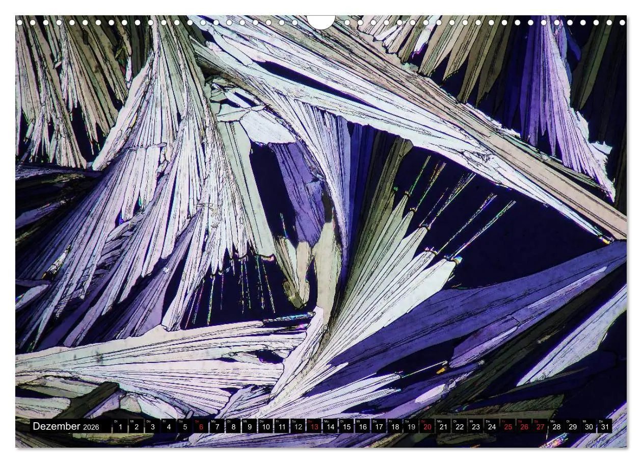 Bild: 9783516063066 | Mikrokristalle in polarisiertem Licht (Wandkalender 2026 DIN A3...