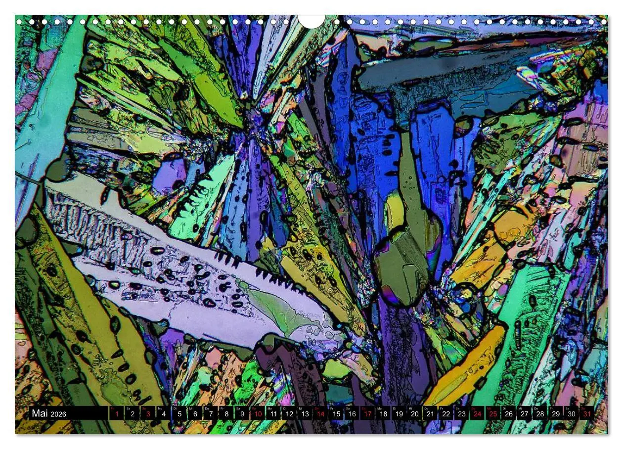 Bild: 9783516063066 | Mikrokristalle in polarisiertem Licht (Wandkalender 2026 DIN A3...